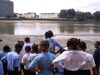 Pupils studying the river