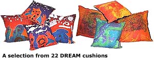 A selection from 22 DREAM cushions