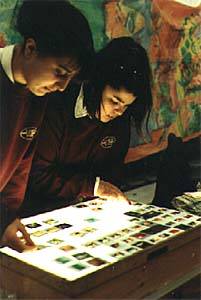 Elizabeth Garrett Anderson pupils working on slide presentation