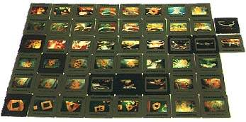 Selection of slides for presentation