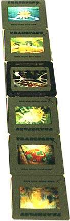 slides from Eliabeth Garrett Anderson school