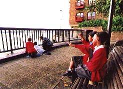 Year 5 observing view of shoreline