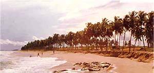 Coastline