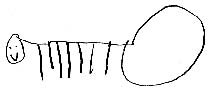 Pupils' drawings at Horniman Museum visit