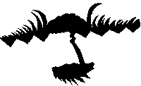 bitmap image