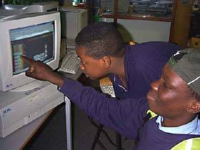 looking at the Website