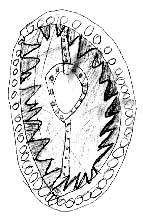 Raglan pupil's drawing