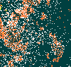 Year 2 gif