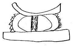 Drawing of headrest